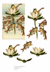 Frog Song - Step by Step