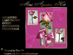 Aperture Mini Kit - Picked Especially for You