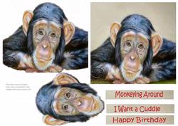 Monkeying Around