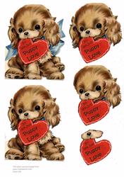 Puppy Love - Not Just