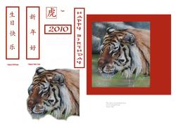Birthday Tiger or Chinese New Year