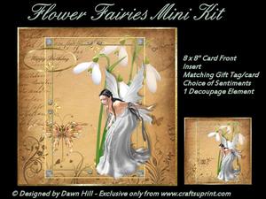 Flower Fairies - Snow Drop