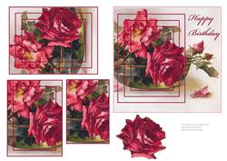 The Rosebowl - Birthday