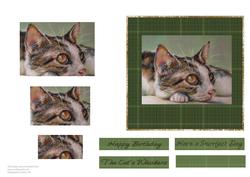 The Cats Whiskers 2