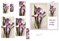 Crocus Spring Flower - Double Pyramid