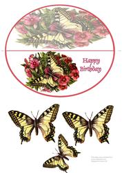 Busy Lizzies & Butterfly - Wobble Card