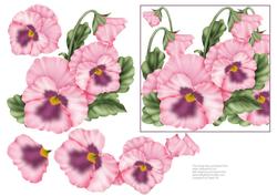 Faces of Spring