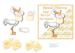 Special Delivery - Twins Boy and Girl