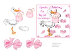 Special Delivery - Twin Girls