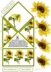 Have a Sunshine Day - Sunflower Diamond Pop Up