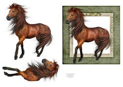 The Stallion - Male Birthday