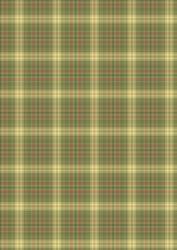 Olive Green Plaid Check