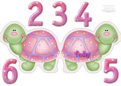 Sweet Tortoise - Shaped Age Card