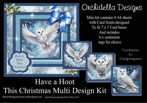 Have a Hoot this Christmas