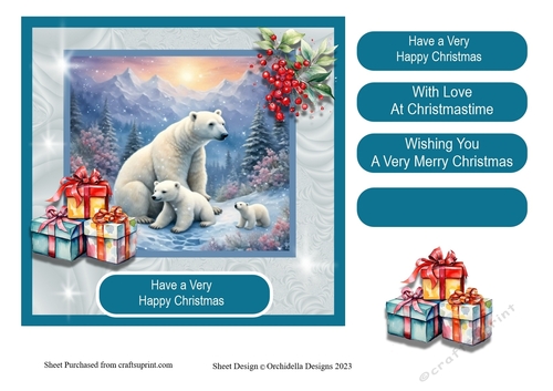 Bear and Cubs Christmas 2