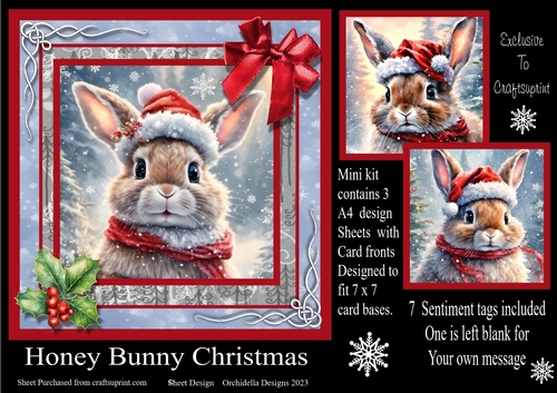 Honey Bunny Christmas