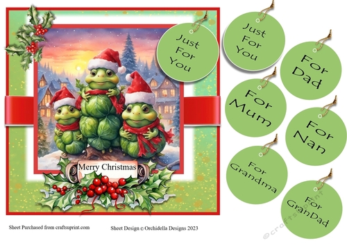 Meet The Sprouts