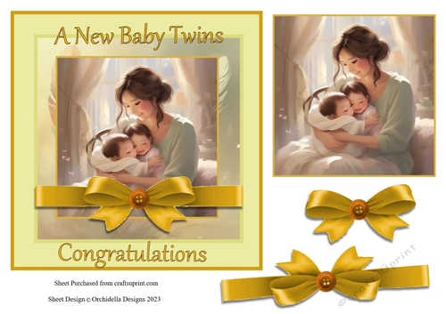New Baby Twins