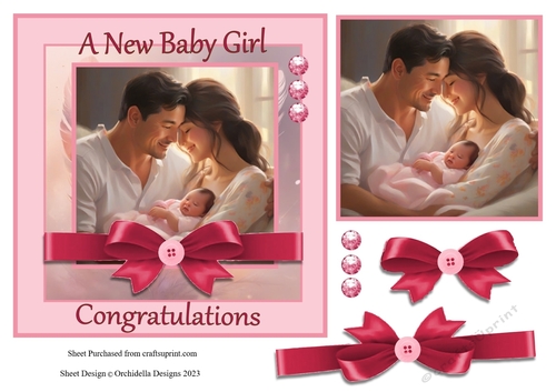 Mum, Dad and New Baby Girl