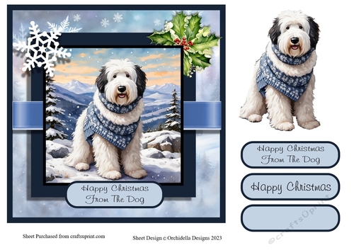 Happy Christmas Sheepdog