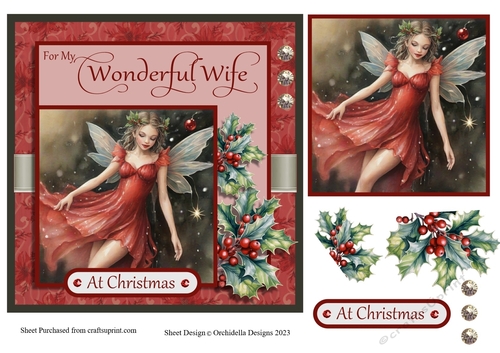 Wonderful Wife Christmas 2