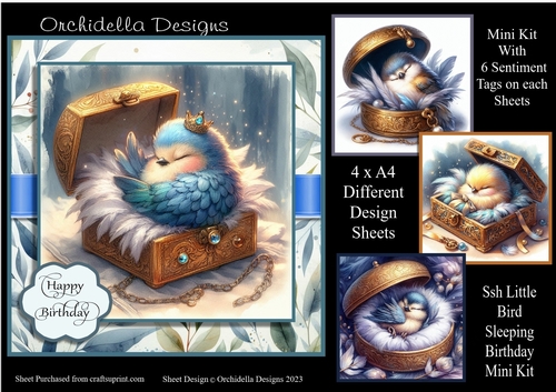 Ssh Little Bird Sleeping Birthday