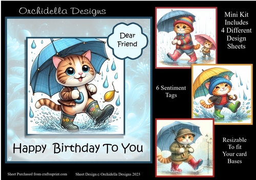 Lots of Puddles Birthday
