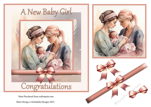 New Baby Girl with both Mummies