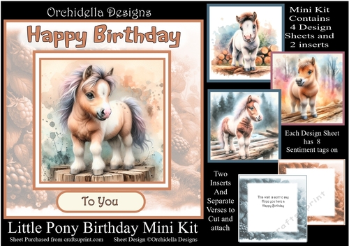 Little Pony Birthday 