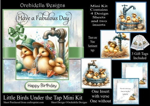 Little Birds Under the Tap