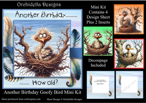 Another Birthday Goofy Bird