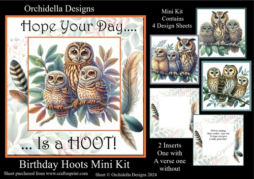 Birthday Hoot