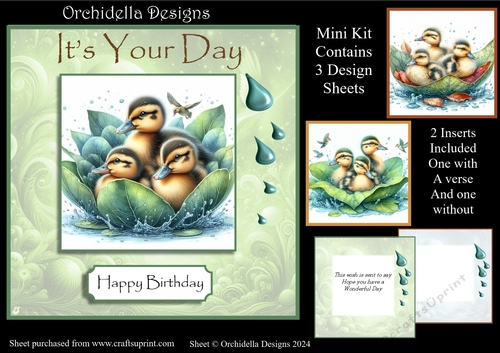 Little Ducks Birthday