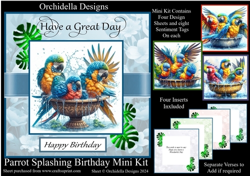 Parrot Splashing Birthday