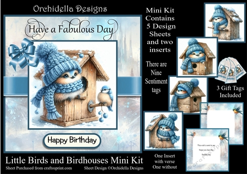 Little Birds and Birdhouses Birthday