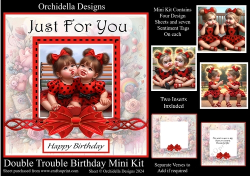 Double Trouble Birthday