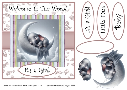 Welcome Baby Girl  Elephant Moon