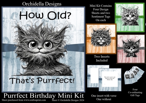 Purrfect Birthday 