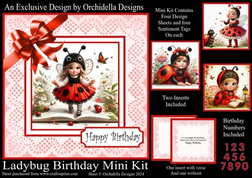 Ladybug Birthday