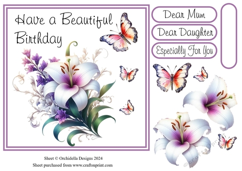 Beautiful Birthday Lily