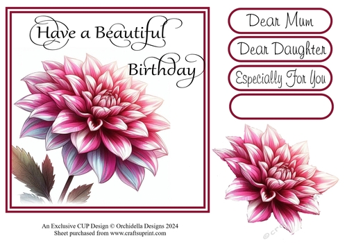 Beautiful Pink Dahlia Birthday