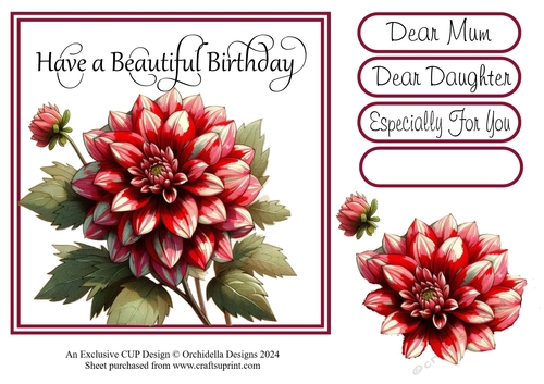 Beautiful red Dahlia Birthday