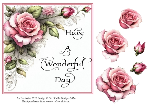 Wonderful day Pink Rose