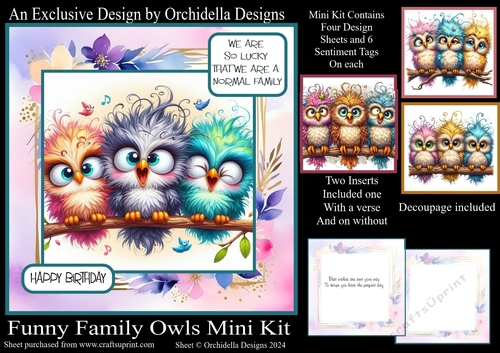 Funny Family Owls