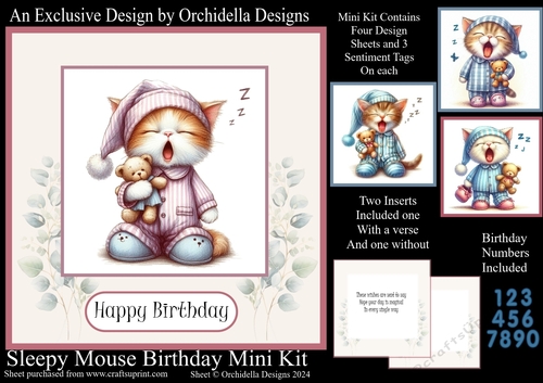 Sleepy Cat Birthday