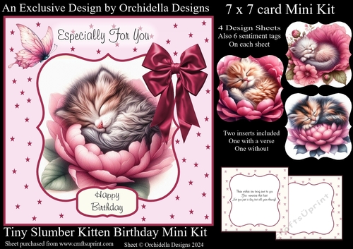 Tiny Slumber Kitten Birthday