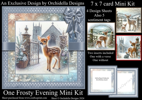 One Frosty Evening