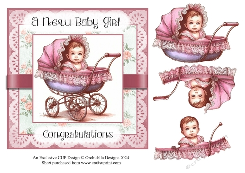 baby Girl Blue Pram