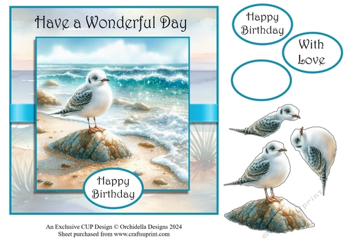 Ocean and Gull