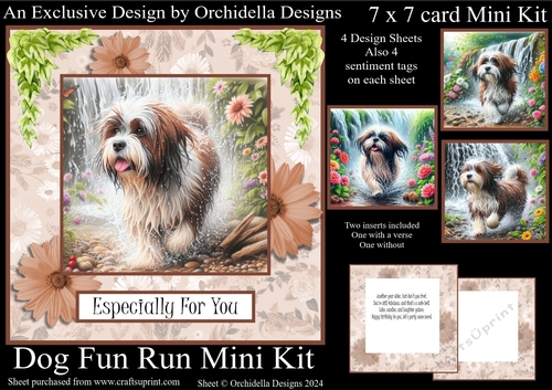 Dog Fun Run